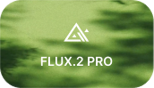 FLUX.2 PRO